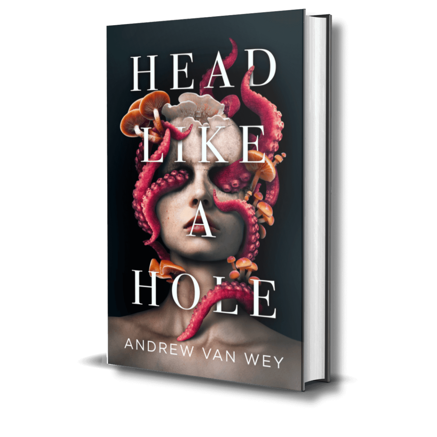 Head Like a Hole: A Novel of Horror