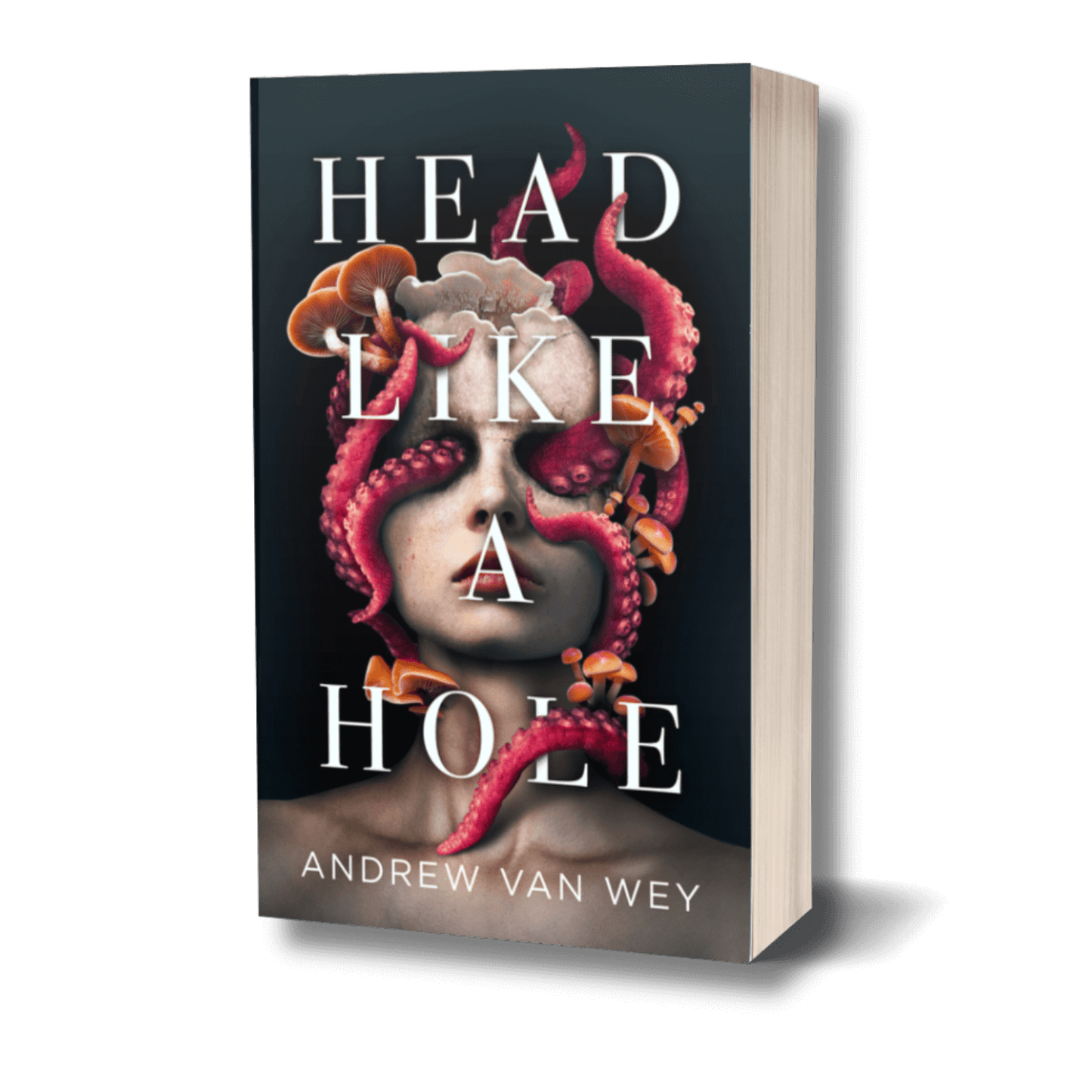 Head Like a Hole: A Novel of Horror