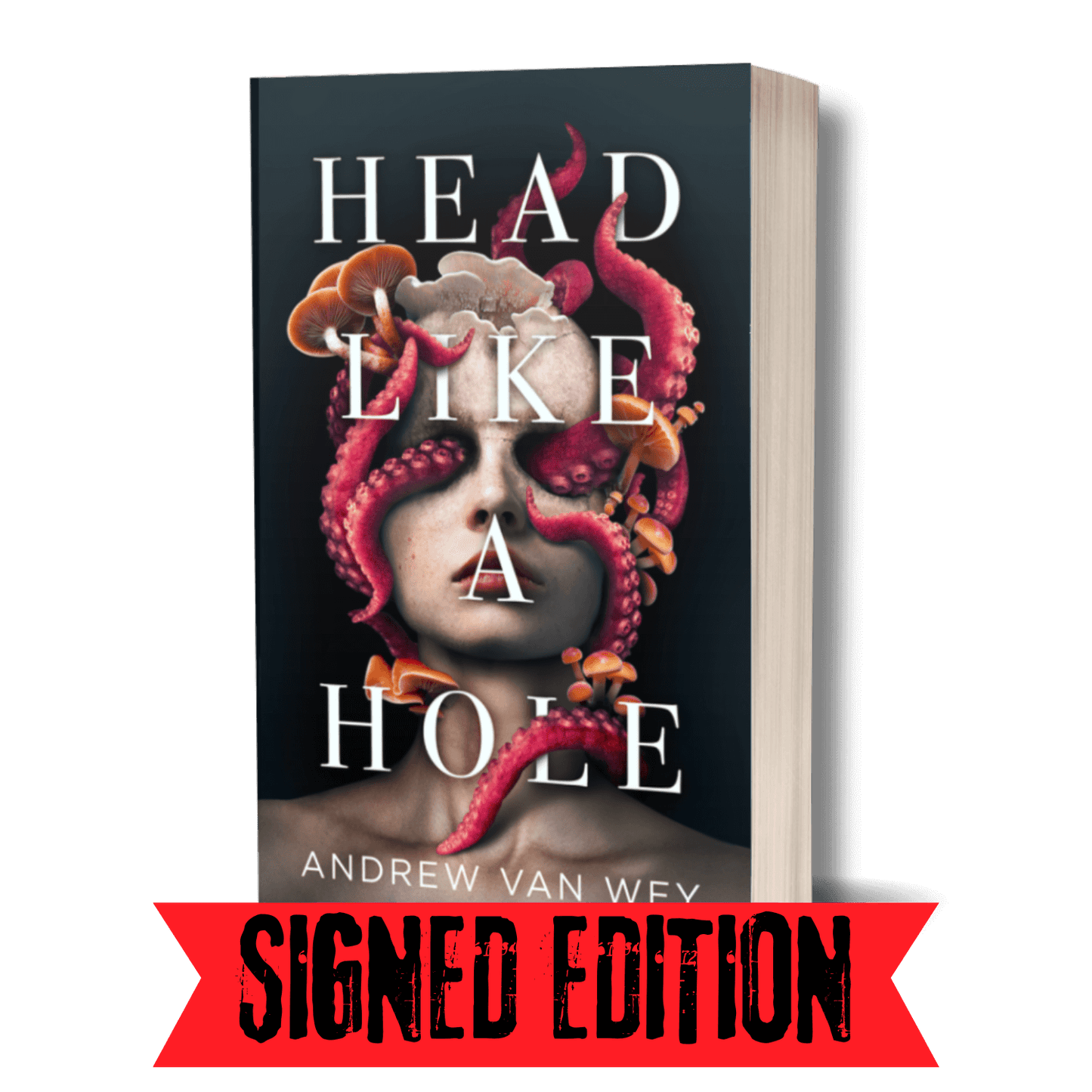 Head Like a Hole: A Novel of Horror