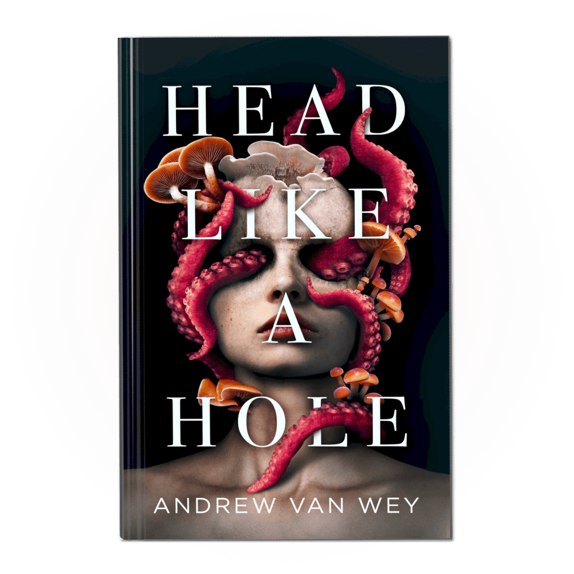 Head Like a Hole: A Novel of Horror